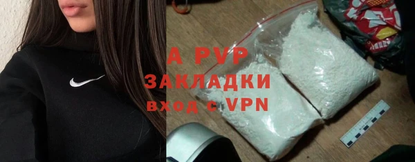 индика Белоозёрский