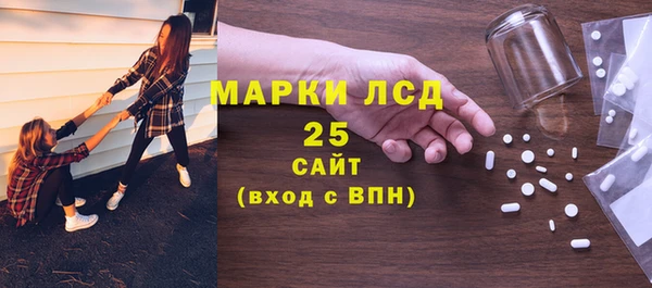 индика Белоозёрский