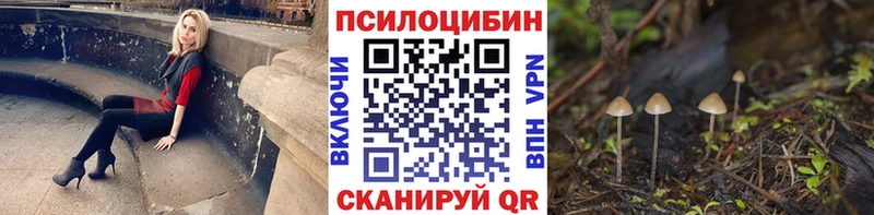 Галлюциногенные грибы Psilocybine cubensis Старый Оскол